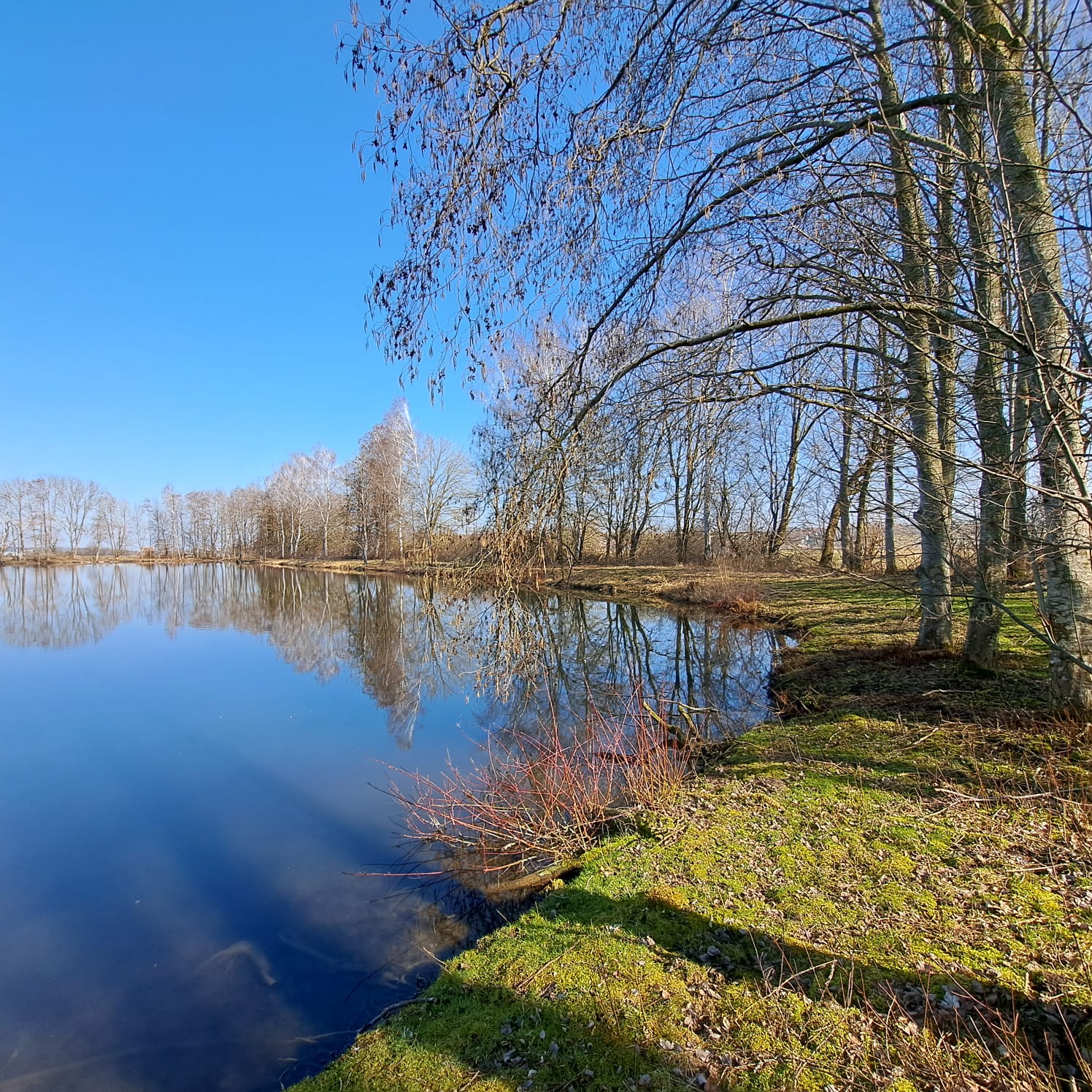 Typisches Edelkrebsgewässer